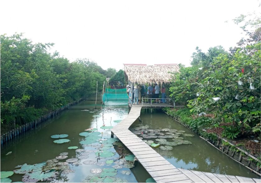 cồn sơn tour miền tây
