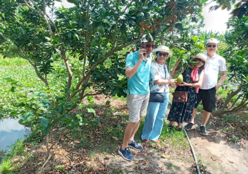 vườn trái cây cồn Sơn