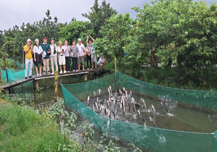 xem cá lóc bay cồn sơn cần thơ