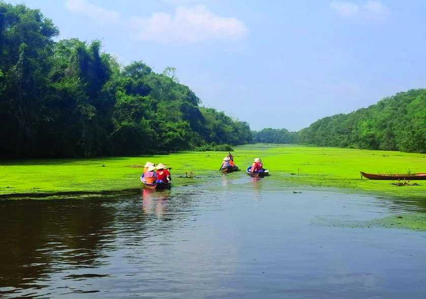 khu bảo tồn Đồng Tháp Mười