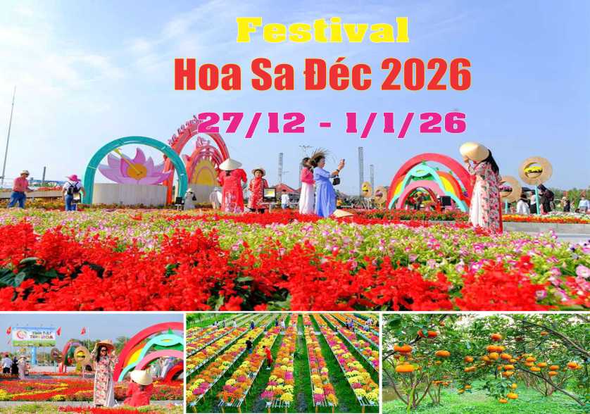festival hoa Sa Đéc 2026