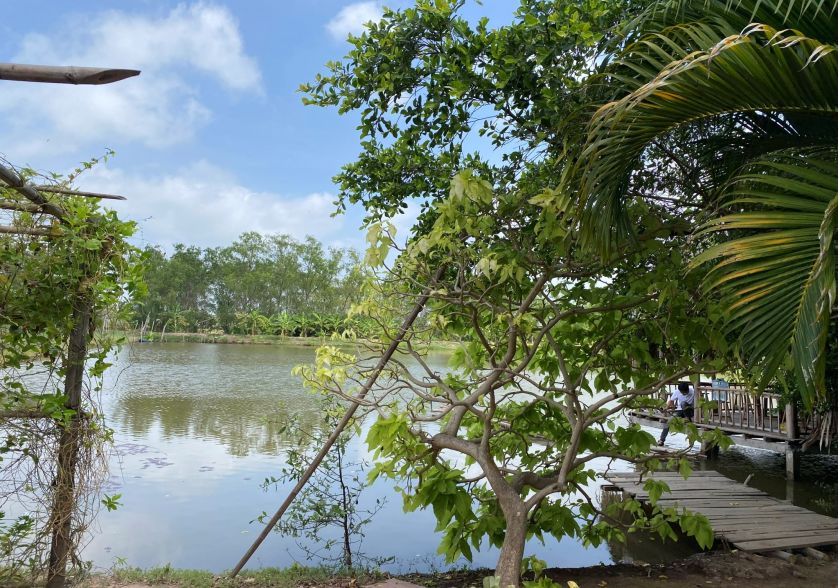 cồn chim trà vinh