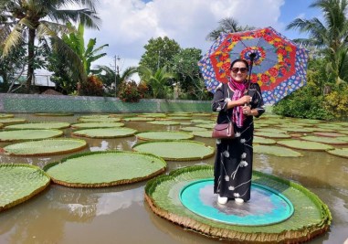 Thành Phố Sa Đéc Đồng Tháp 