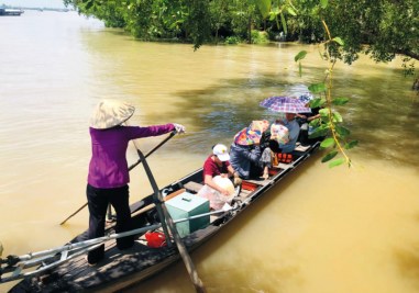 Đi đò chèo trên rạch cây bưởi - tour cái bè vĩnh long 1 ngày