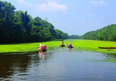 Khu bảo tồn Đồng Tháp Mười