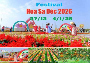 hinh-festival-hoa-sa-dec-26-838