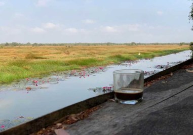 ngam-canh-tram-chim-1