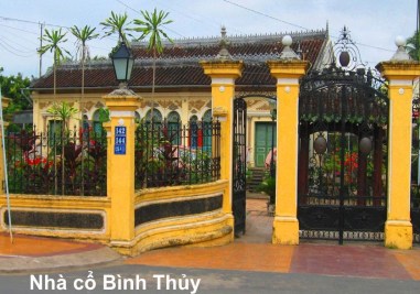 Vào vườn hái trái cây chôm chôm, nhãn...