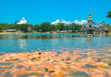 toan-canh-kdl-nui-cam-an-giang-1