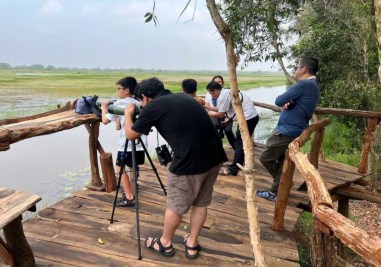 tram-chim-dong-thap-1