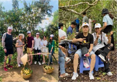 vuon-trai-cay-con-son-268