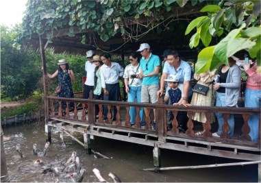 Xem cá lóc bay Cồn Sơn - tour miền tây 2 ngày 1 đêm